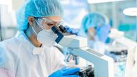 Scientists conducting experiment in the laboratory